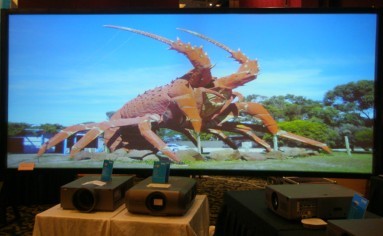 圖片關(guān)鍵詞