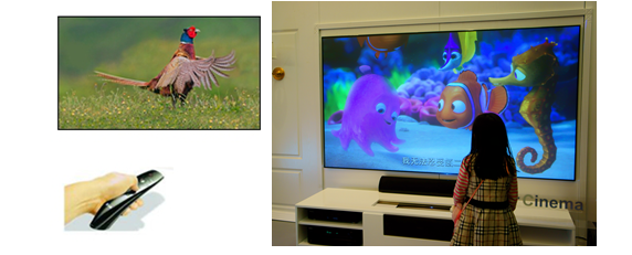 圖片關(guān)鍵詞